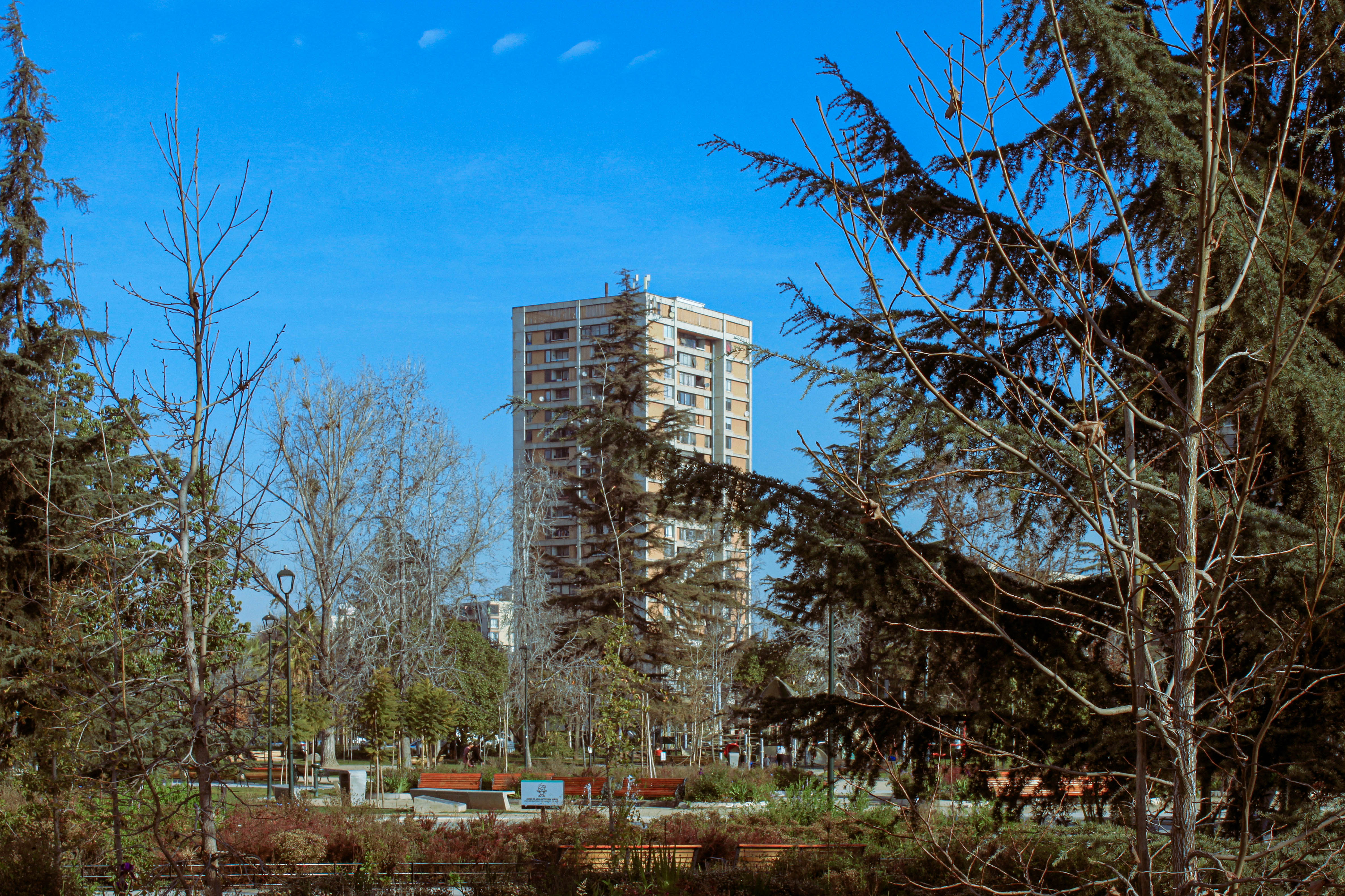 julio Image 12