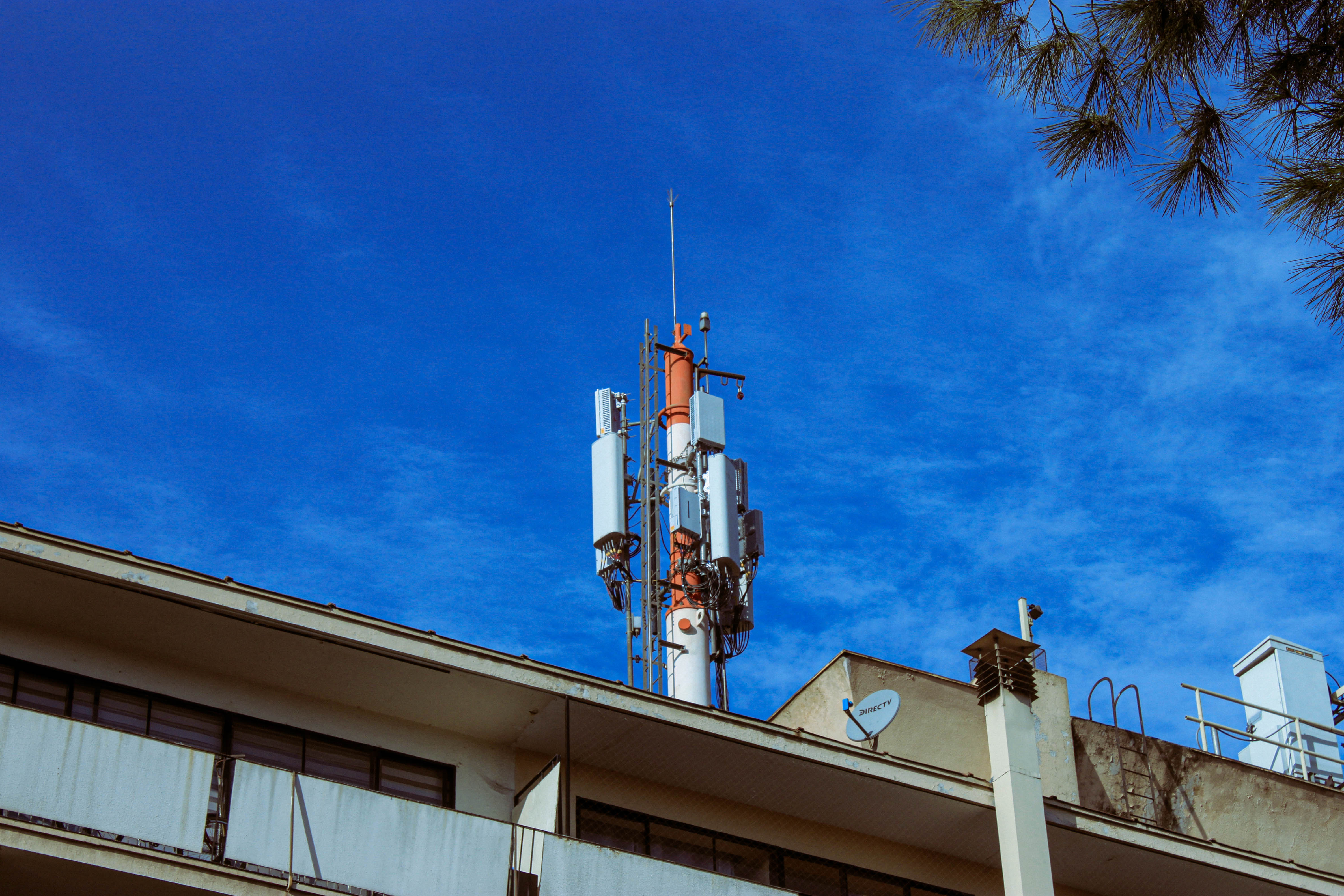 julio Image 19