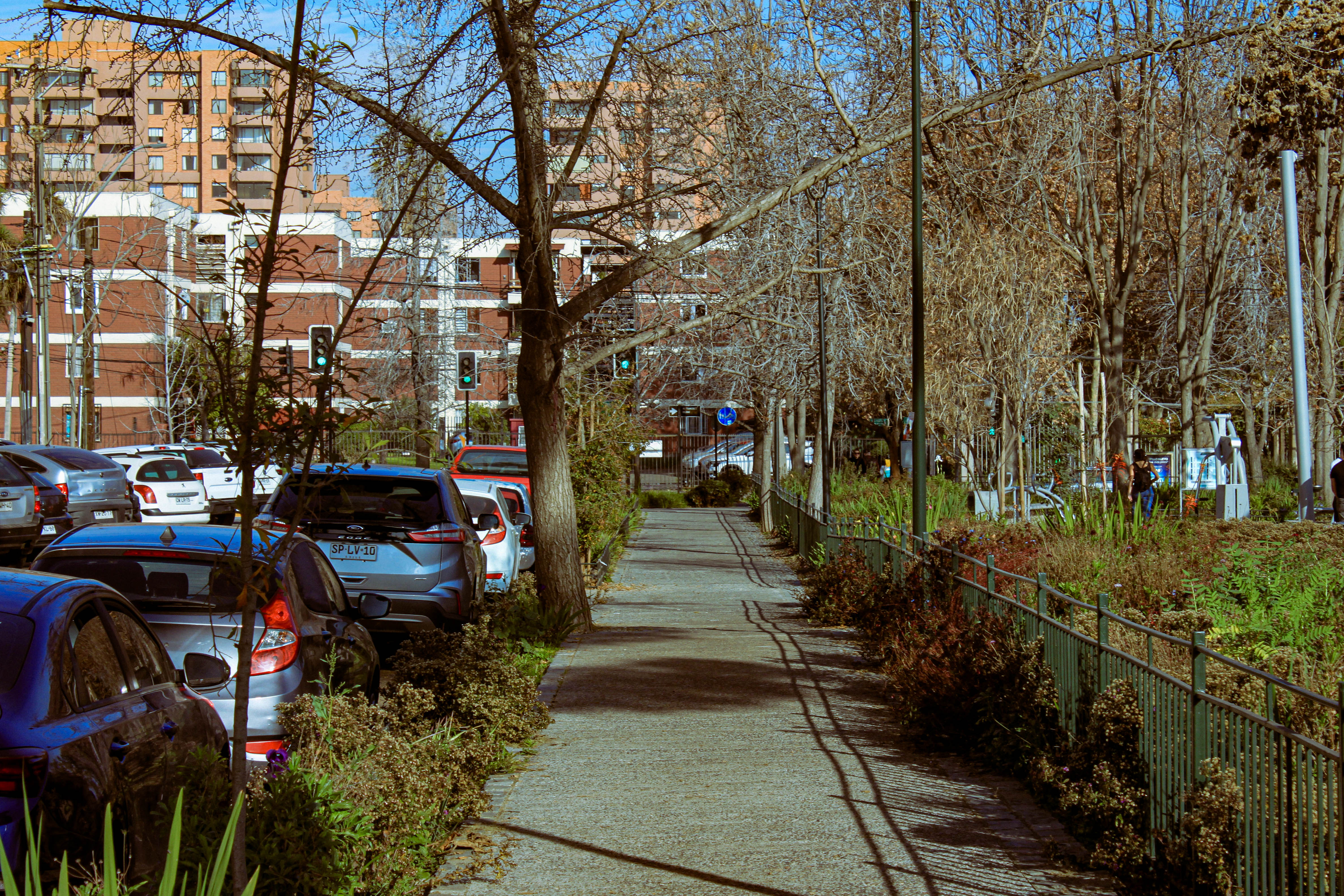 julio Image 20
