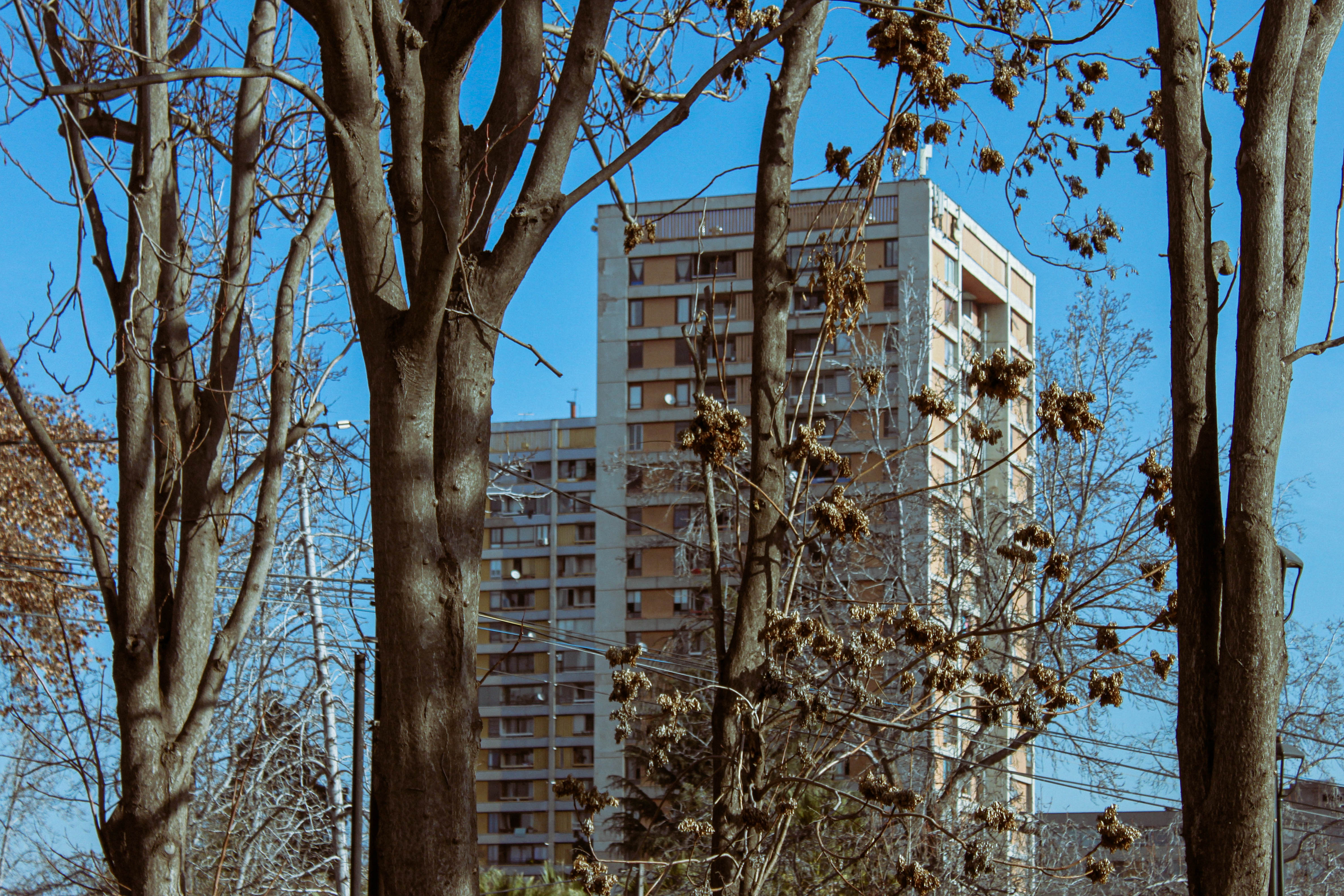 julio Image 23