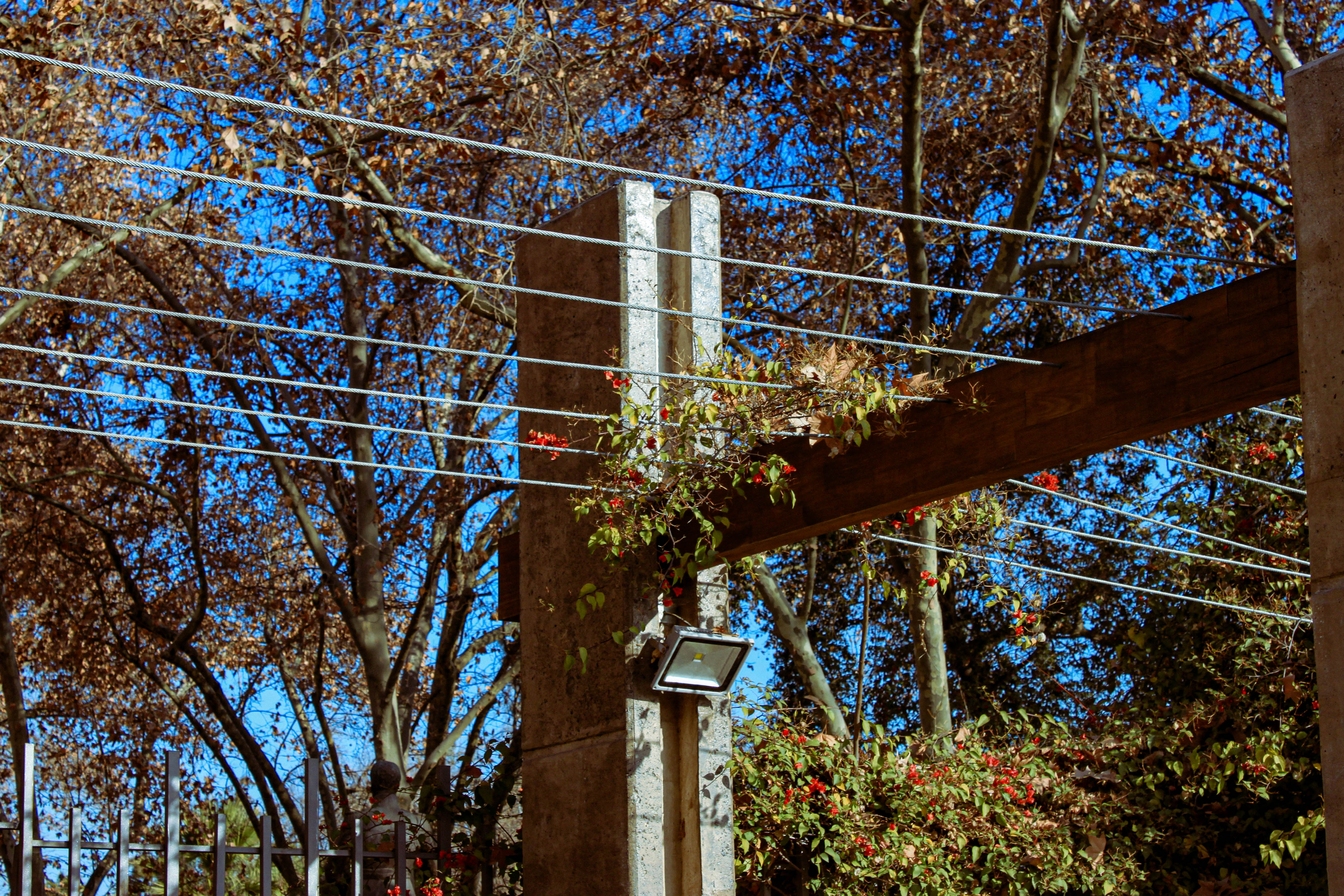 julio Image 29