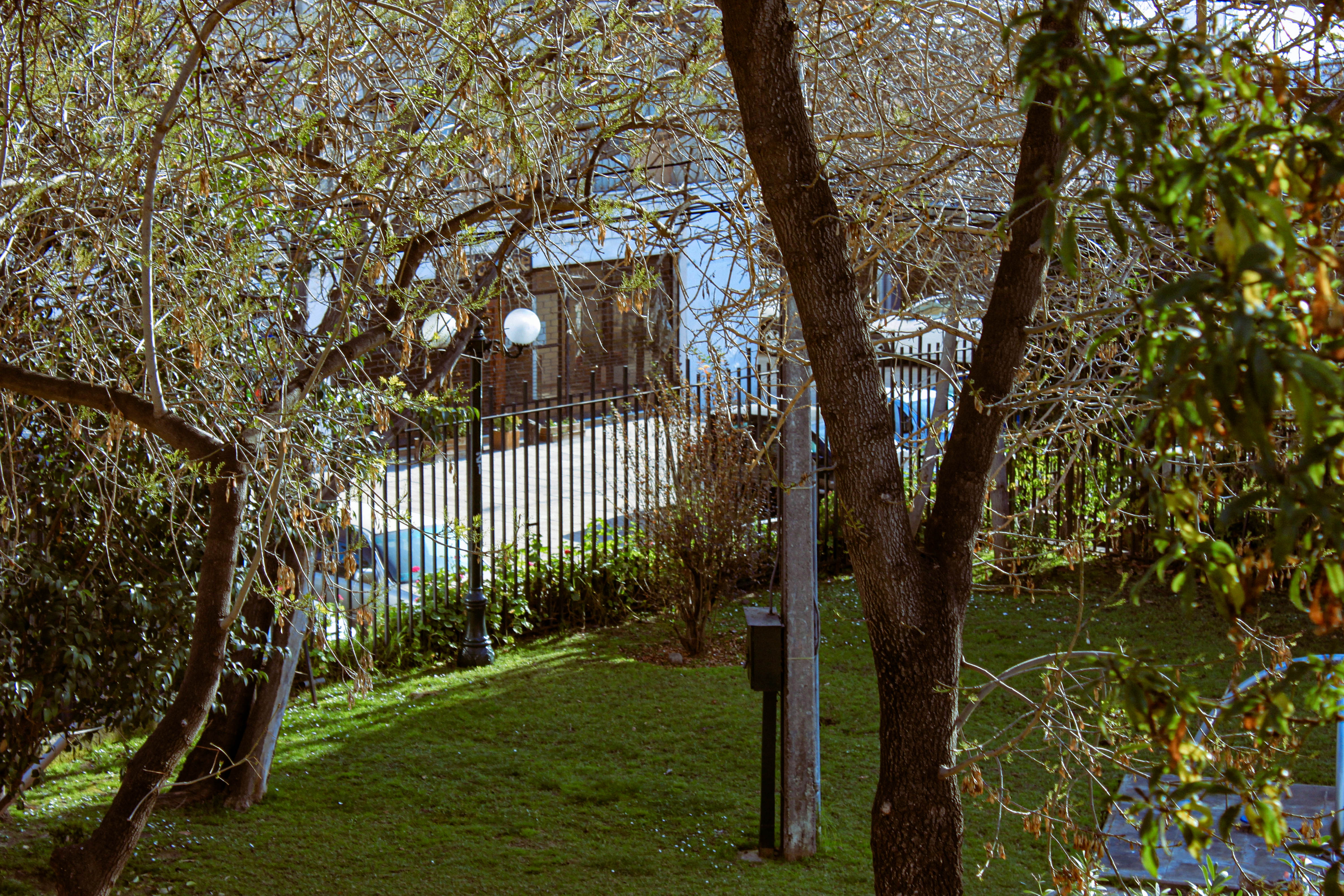 julio Image 32