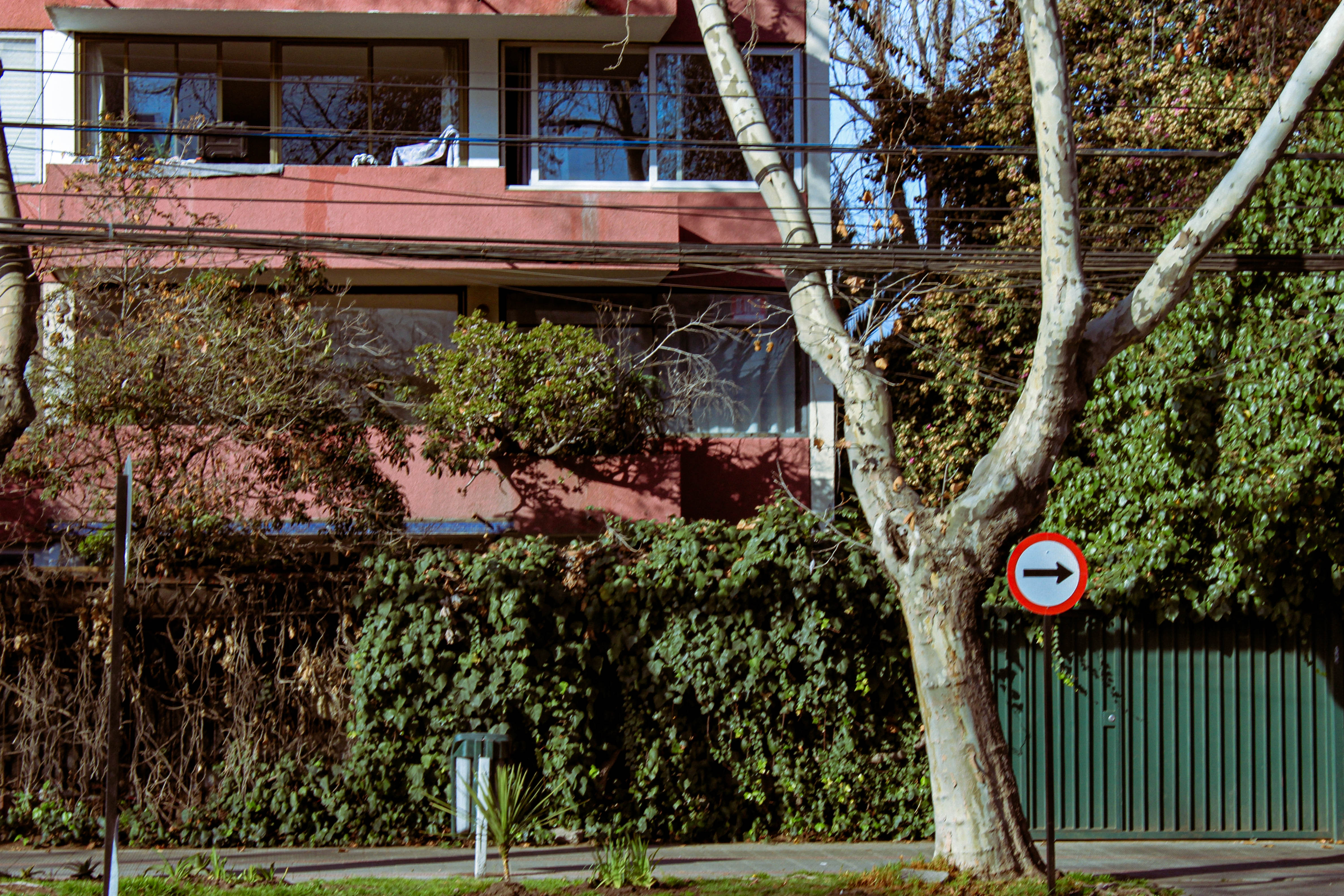 julio Image 37