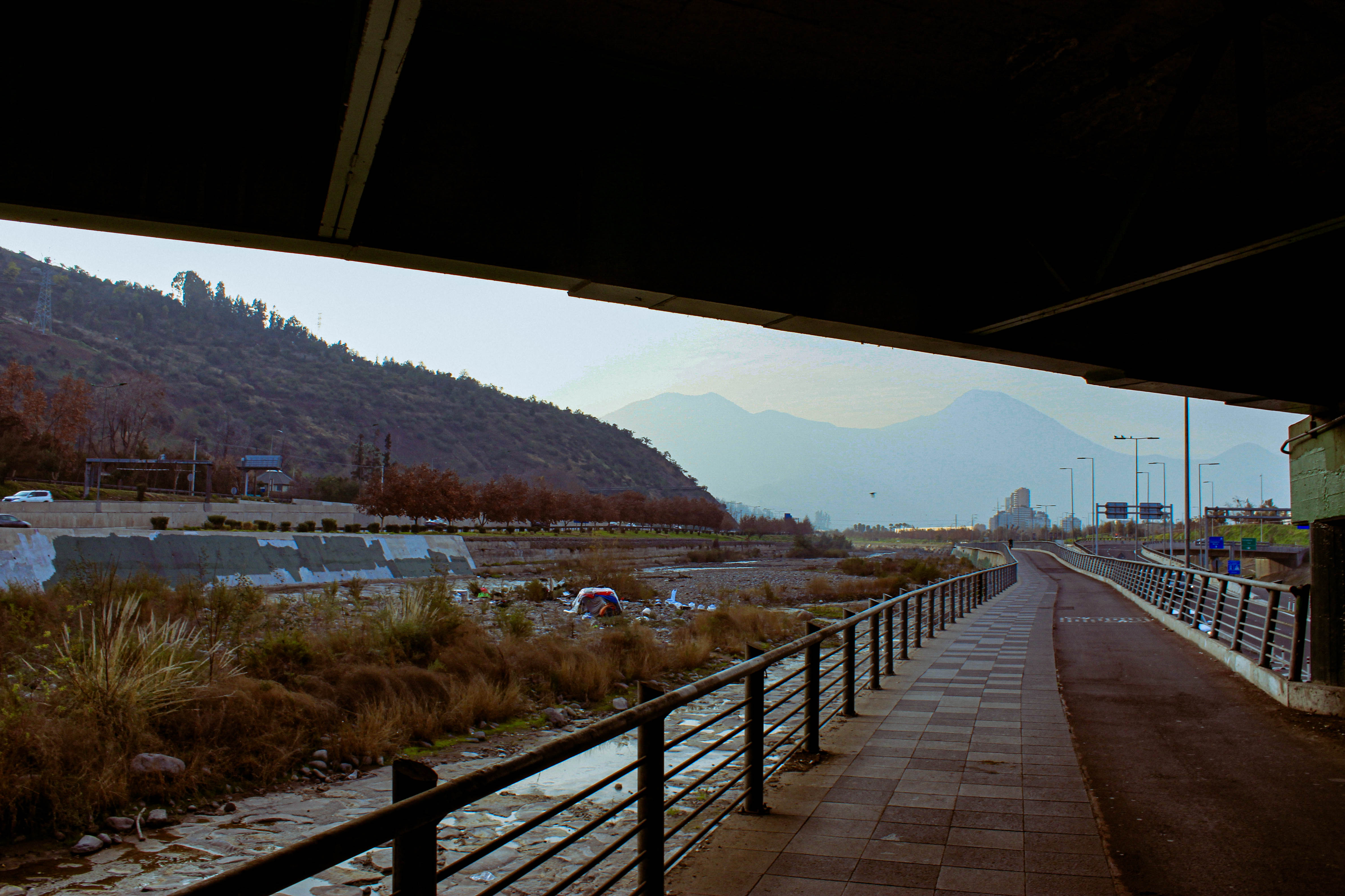 julio Image 88