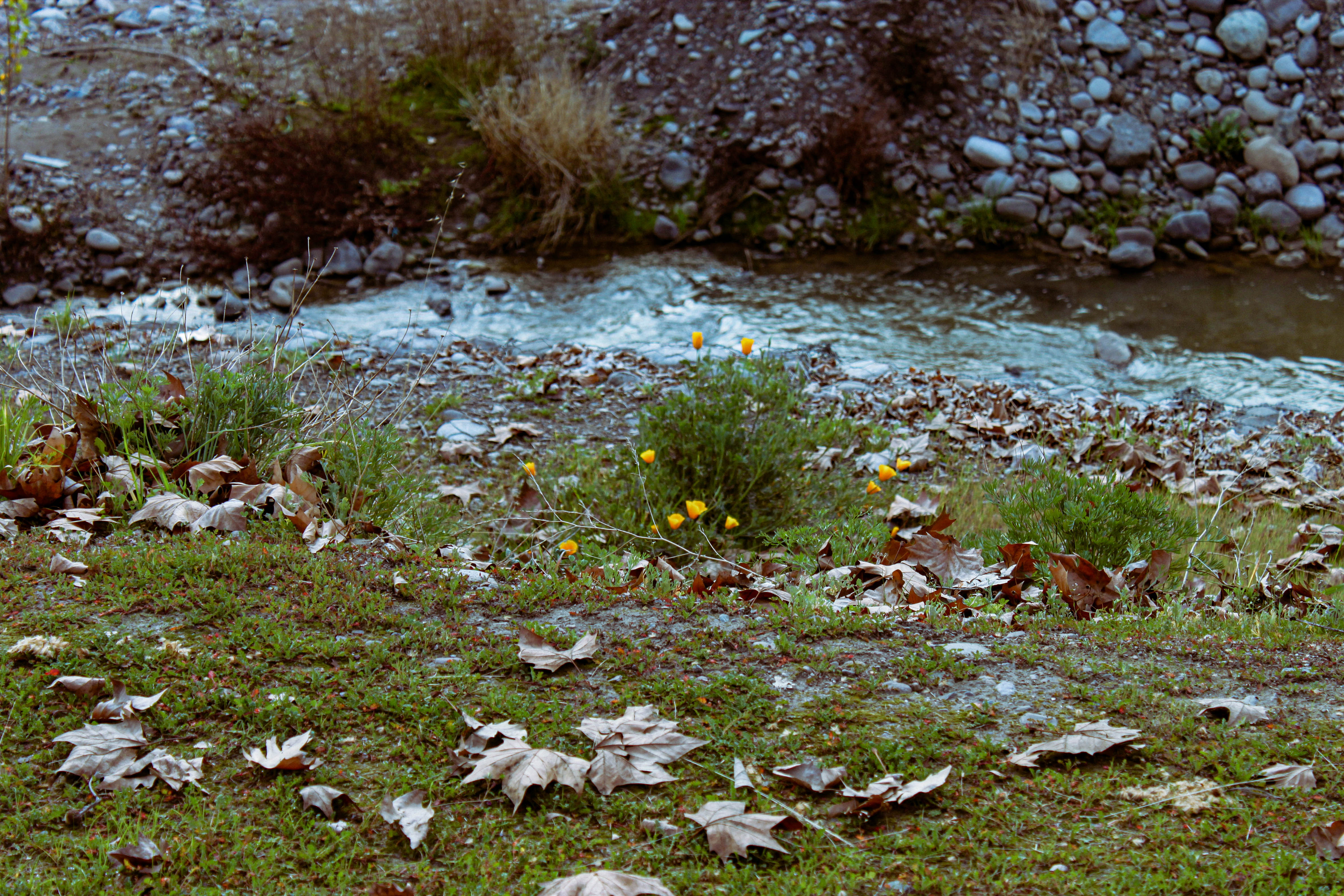 julio Image 94
